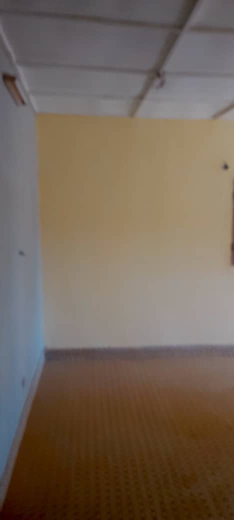 Une image de l'annonce