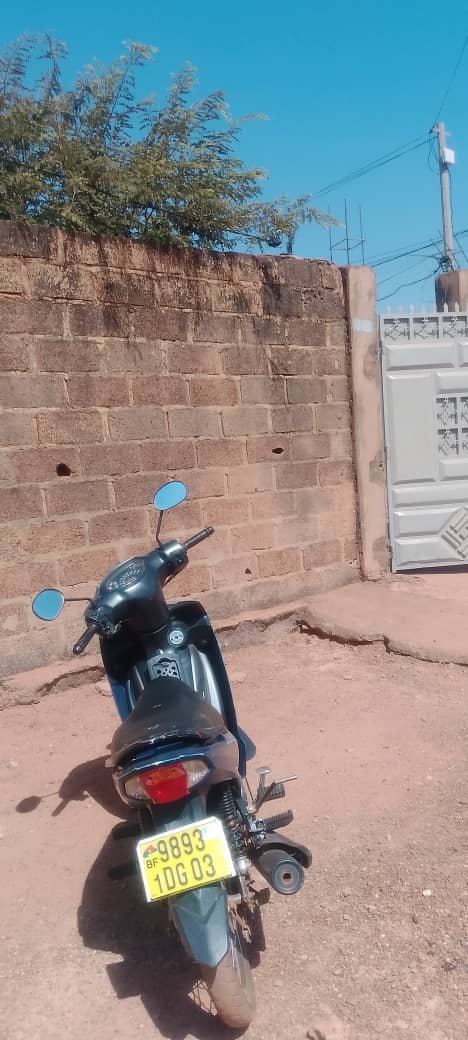 Une image de l'annonce