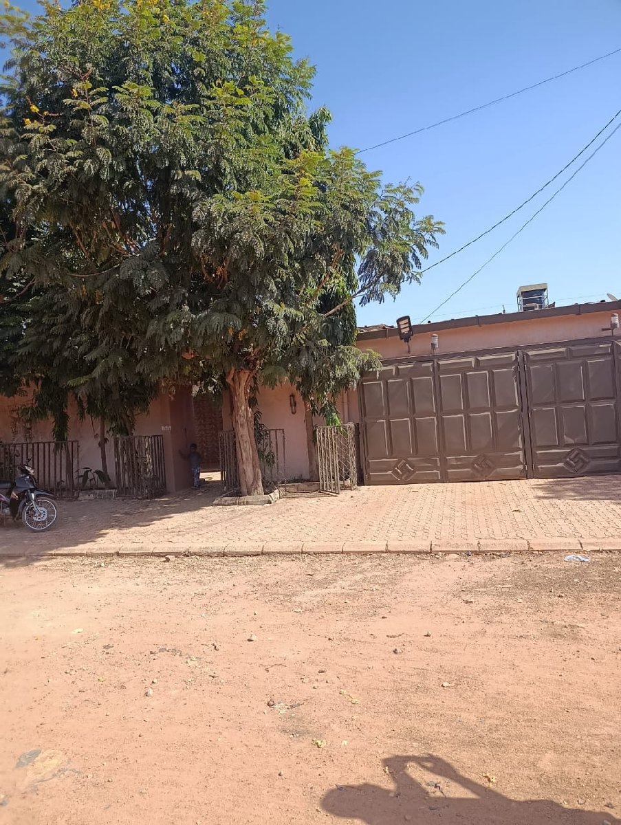 Une image de l'annonce