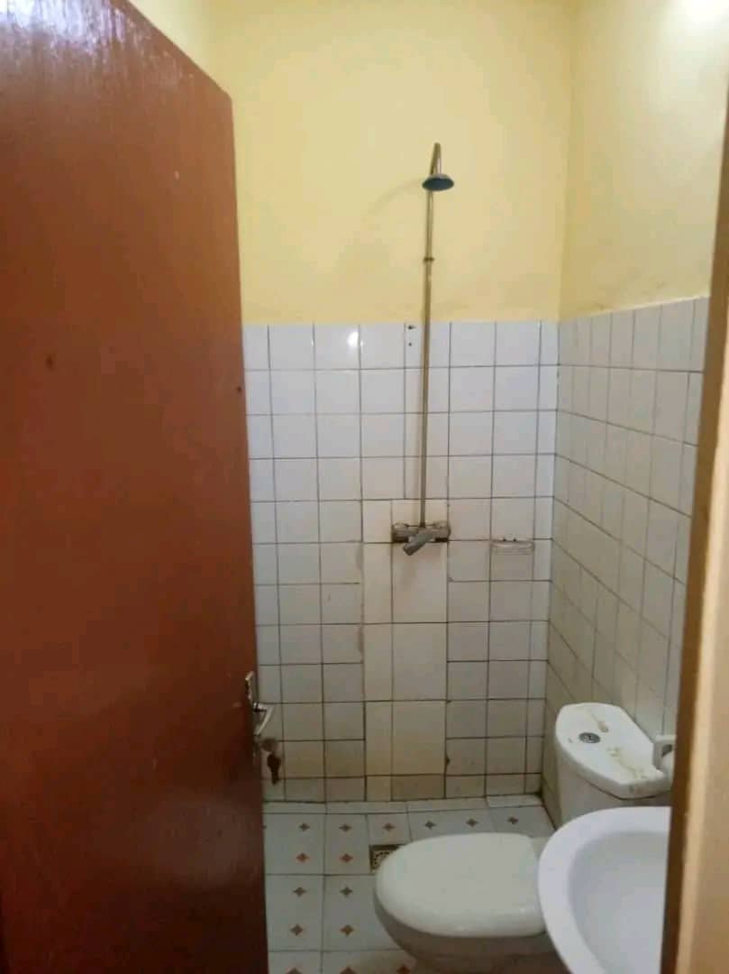 Une image de l'annonce